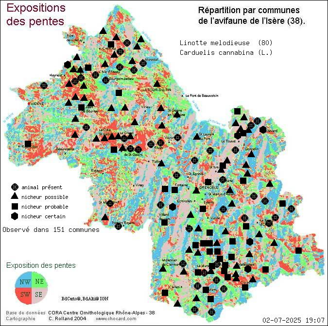 Linotte mlodieuse (Carduelis cannabina (L.)): carte de rpartition en Isre