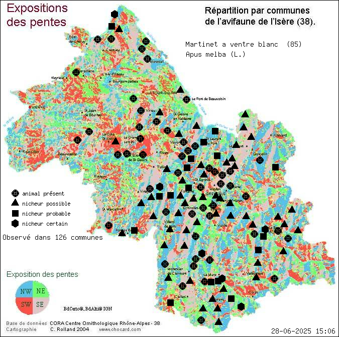 Martinet  ventre blanc (Apus melba (L.)): carte de rpartition en Isre