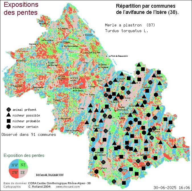 Merle  plastron (Turdus torquatus L.): carte de rpartition en Isre