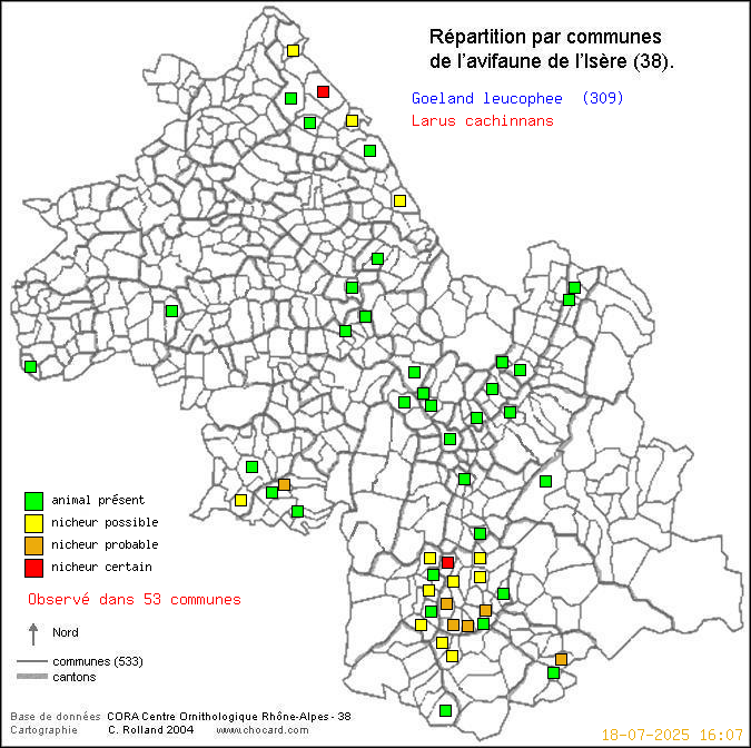 Goland leucophe (Larus cachinnans): carte de rpartition en Isre