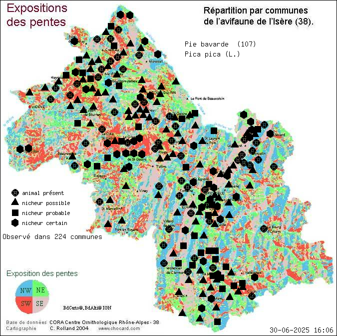 Carte de rpartition par communes en Isre d'une espce d'animal: Pie bavarde (Pica pica (L.)) selon Expositions