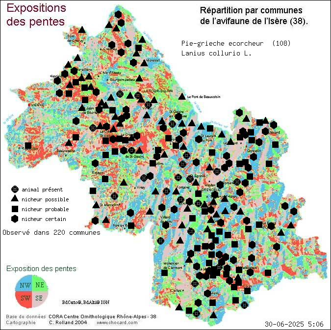 Pie-griche corcheur (Lanius collurio L.): carte de rpartition en Isre