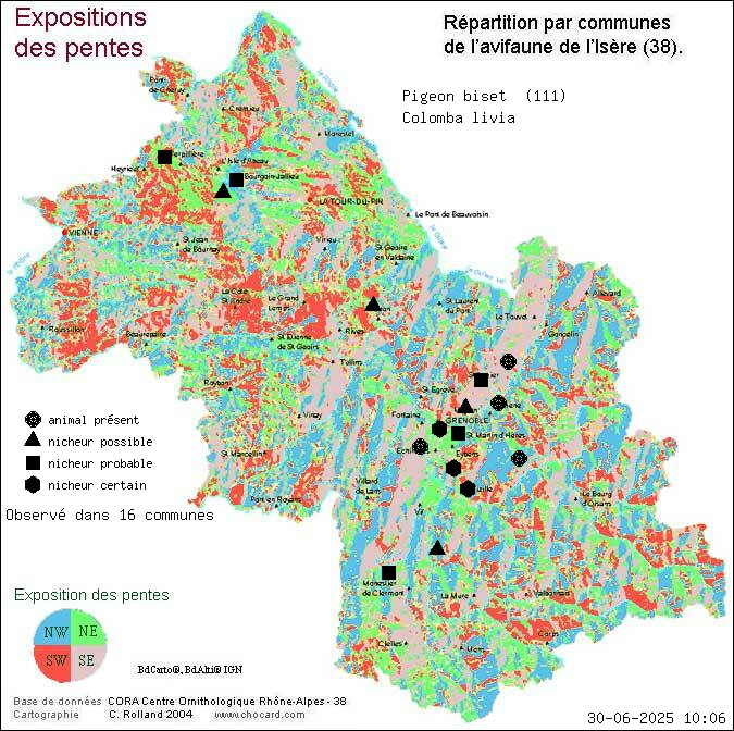 Pigeon biset (Colomba livia): carte de rpartition en Isre
