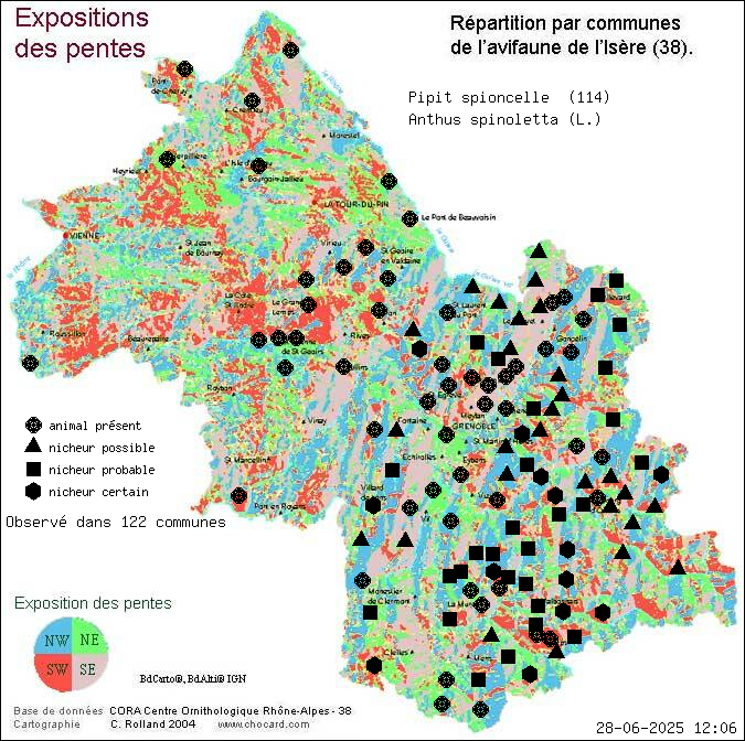 Pipit spioncelle (Anthus spinoletta (L.)): carte de rpartition en Isre