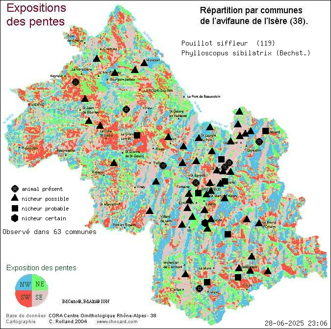 Pouillot siffleur (Phylloscopus sibilatrix (Bechst.)): carte de rpartition en Isre