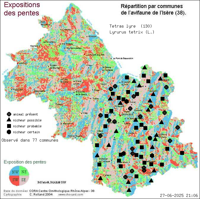 Ttras lyre (Lyrurus tetrix (L.)): carte de rpartition en Isre