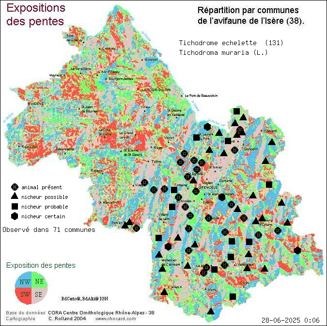 Tichodrome chelette (Tichodroma muraria (L.)): carte de rpartition en Isre