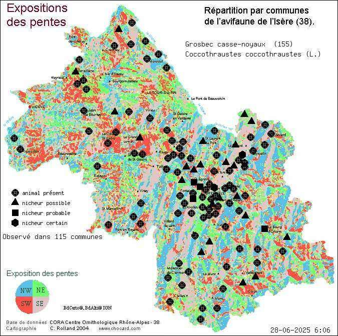 Grosbec casse-noyaux (Coccothraustes coccothraustes (L.)): carte de rpartition en Isre