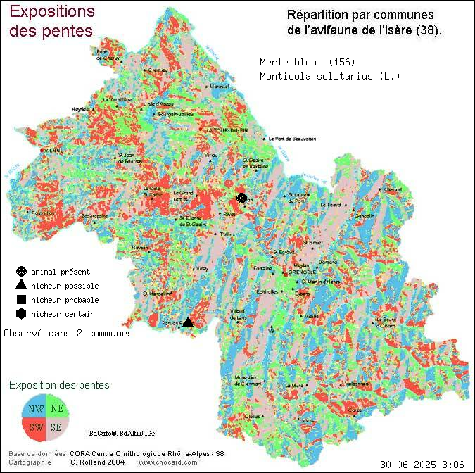 Merle bleu (Monticola solitarius (L.)): carte de rpartition en Isre