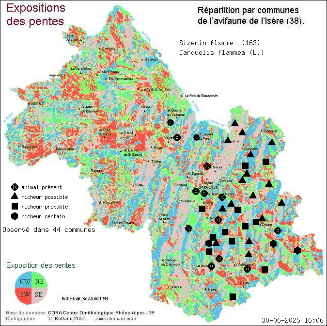 Sizerin flamm (Carduelis flammea (L.)): carte de rpartition en Isre