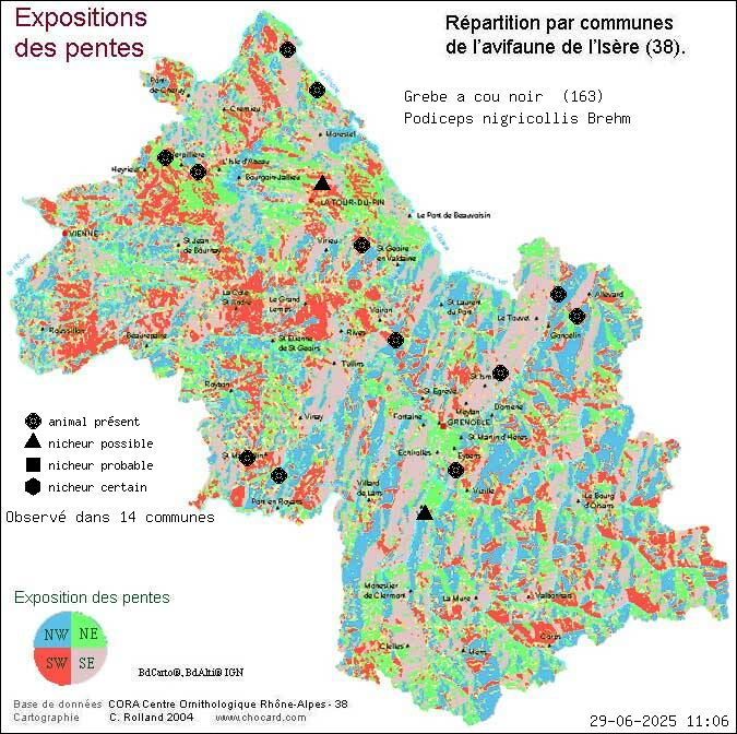 Grbe  cou noir (Podiceps nigricollis Brehm): carte de rpartition en Isre