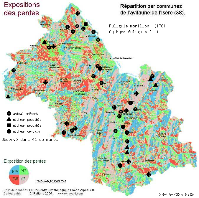 Fuligule morillon (Aythyna fuligula (L.)): carte de rpartition en Isre