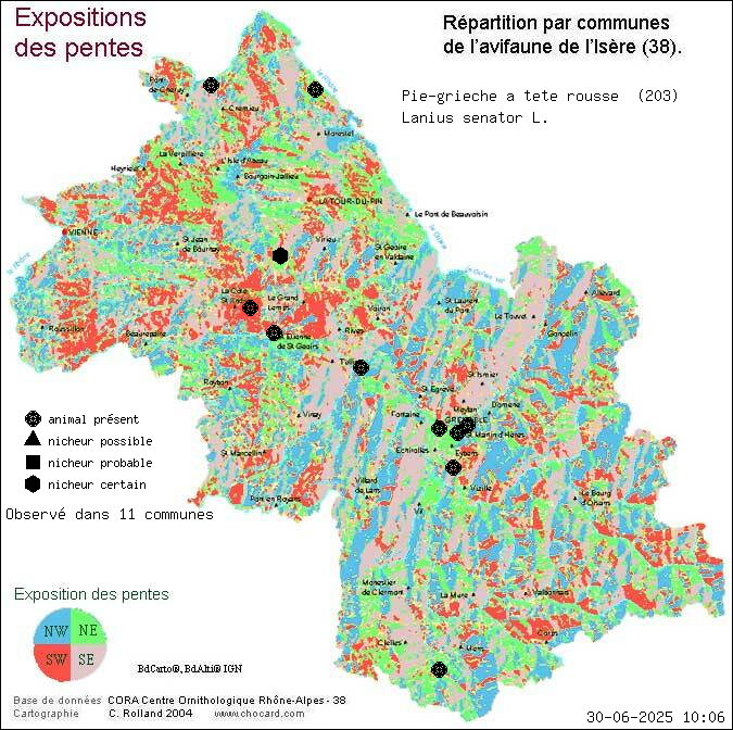 Pie-griche  tte rousse (Lanius senator L.): carte de rpartition en Isre
