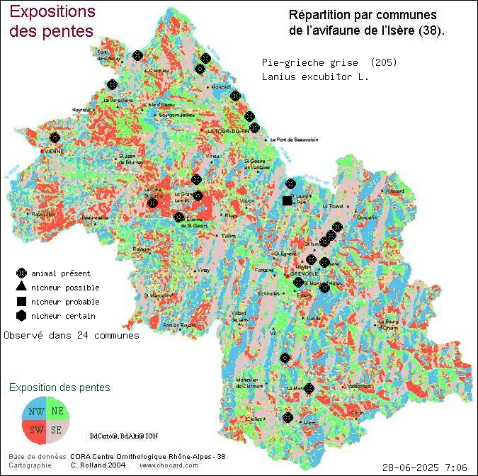 Pie-griche grise (Lanius excubitor L.): carte de rpartition en Isre