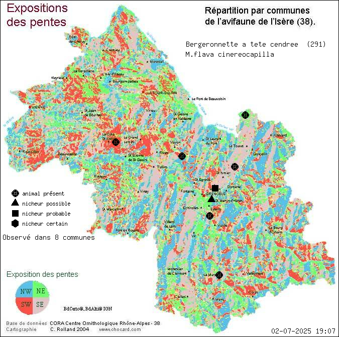 Carte de rpartition par communes en Isre d'une espce d'animal: Bergeronnette  tte cendre (M.flava cinereocapilla) selon Expositions