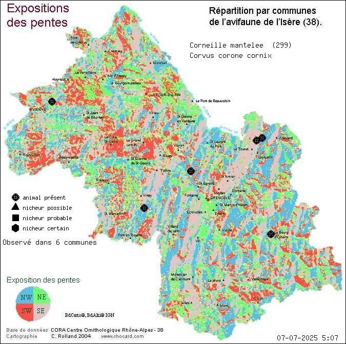 Corneille mantele (Corvus corone cornix): carte de rpartition en Isre