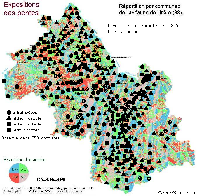 Corneille noire/mantele (Corvus corone): carte de rpartition en Isre