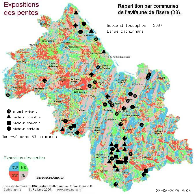 Goland leucophe (Larus cachinnans): carte de rpartition en Isre