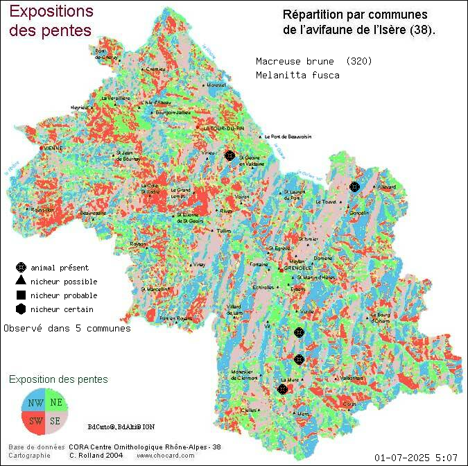 Macreuse brune (Melanitta fusca): carte de rpartition en Isre