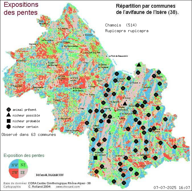 Carte de rpartition par communes en Isre d'une espce d'animal: Chamois (Rupicapra rupicapra) selon Expositions