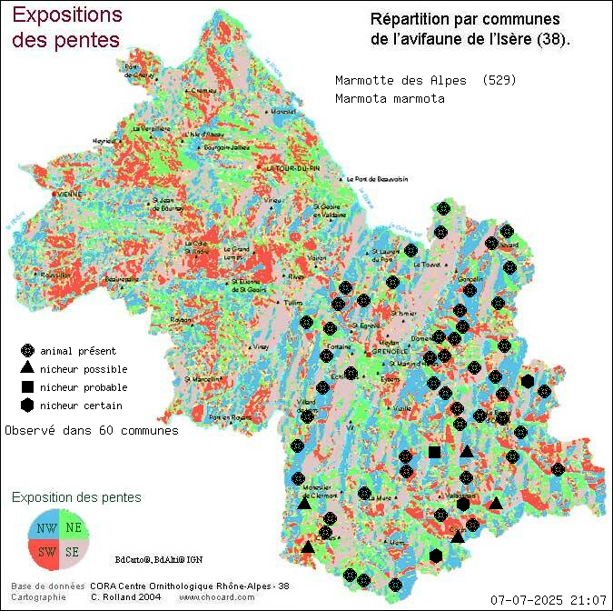 Marmotte des Alpes (Marmota marmota): carte de rpartition en Isre