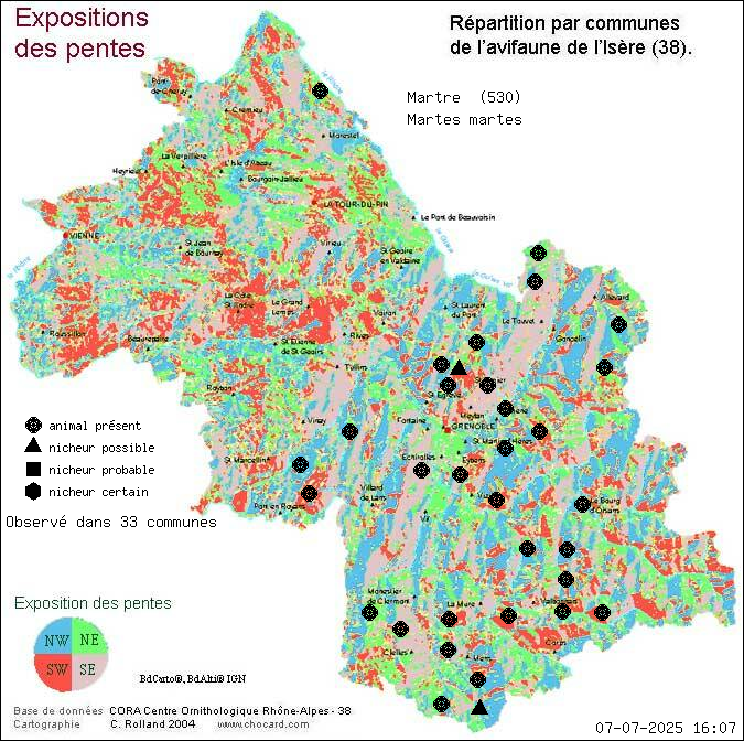 Martre (Martes martes): carte de rpartition en Isre