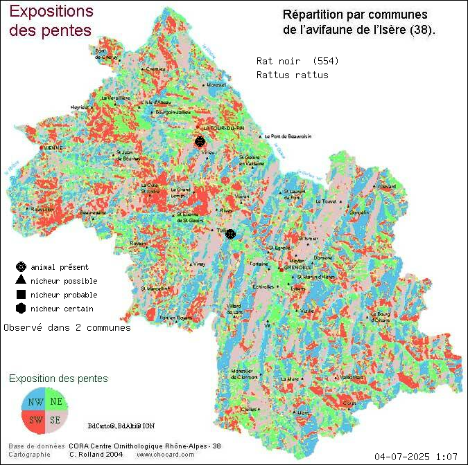 Rat noir (Rattus rattus): carte de rpartition en Isre