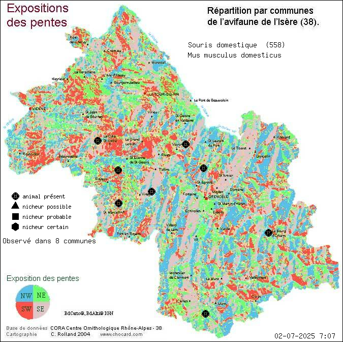 Carte de rpartition par communes en Isre d'une espce d'animal: Souris domestique (Mus musculus domesticus) selon Expositions