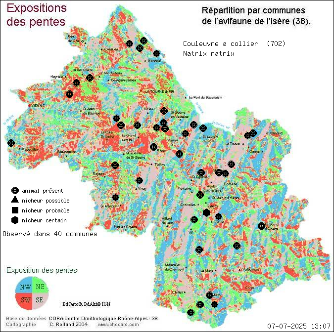 Couleuvre  collier (Natrix natrix): carte de rpartition en Isre