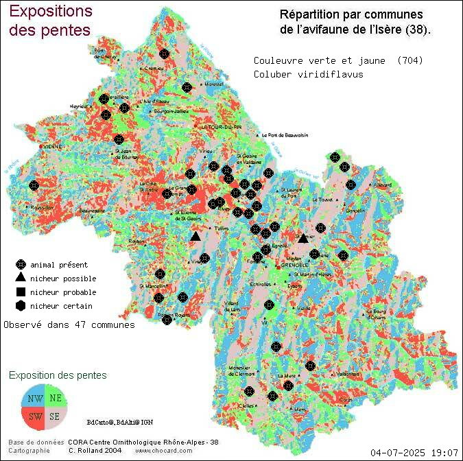 Carte de rpartition par communes en Isre d'une espce d'animal: Couleuvre verte et jaune (Coluber viridiflavus) selon Expositions