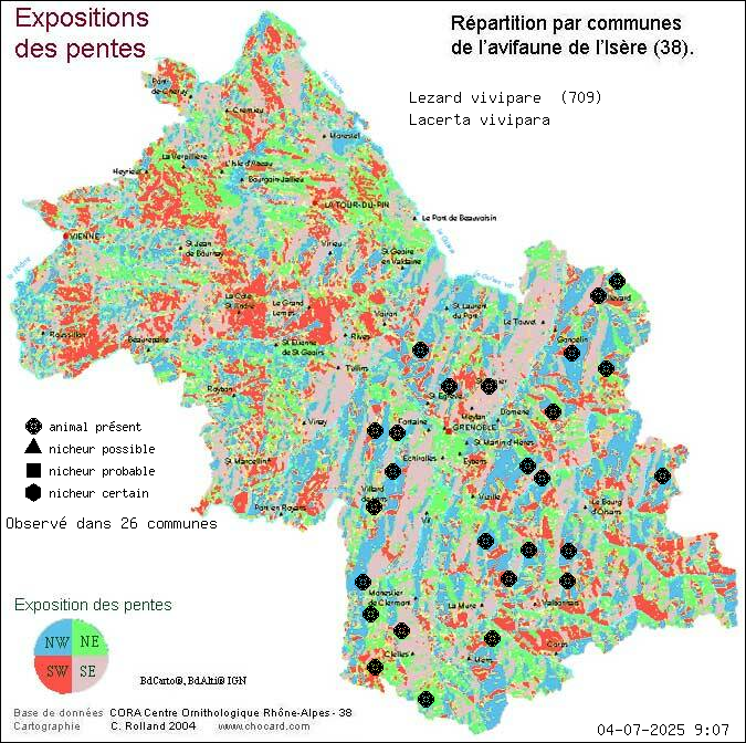Lzard vivipare (Lacerta vivipara): carte de rpartition en Isre