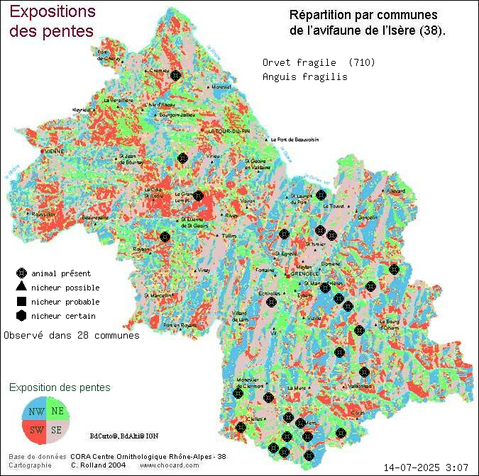 Carte de rpartition par communes en Isre d'une espce d'animal: Orvet fragile (Anguis fragilis) selon Expositions