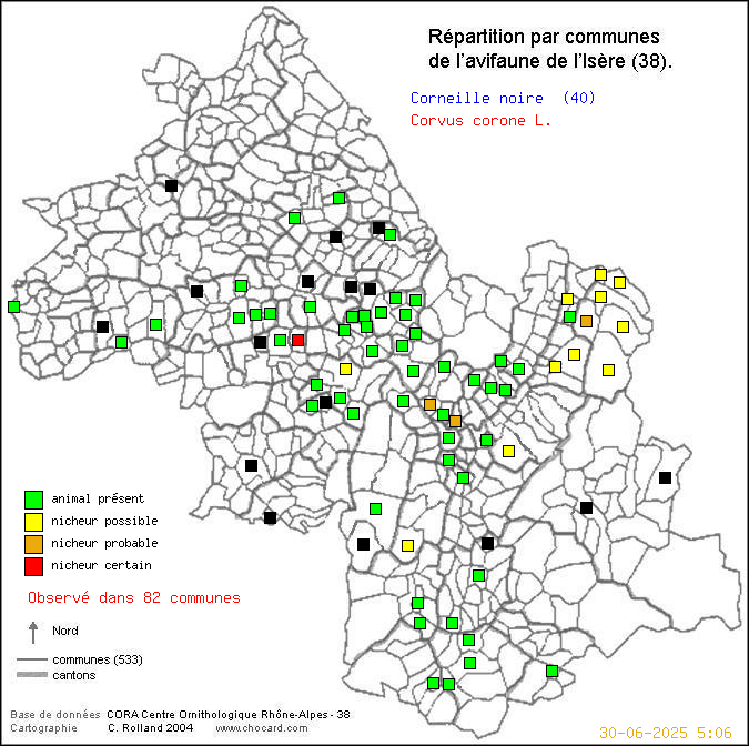 Carte de rpartition par communes en Isre d'une espce d'oiseau: Corneille noire (Corvus corone L.) selon Communes et cantons