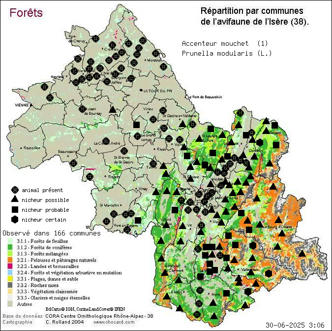 Accenteur mouchet (Prunella modularis (L.)): carte de rpartition en Isre