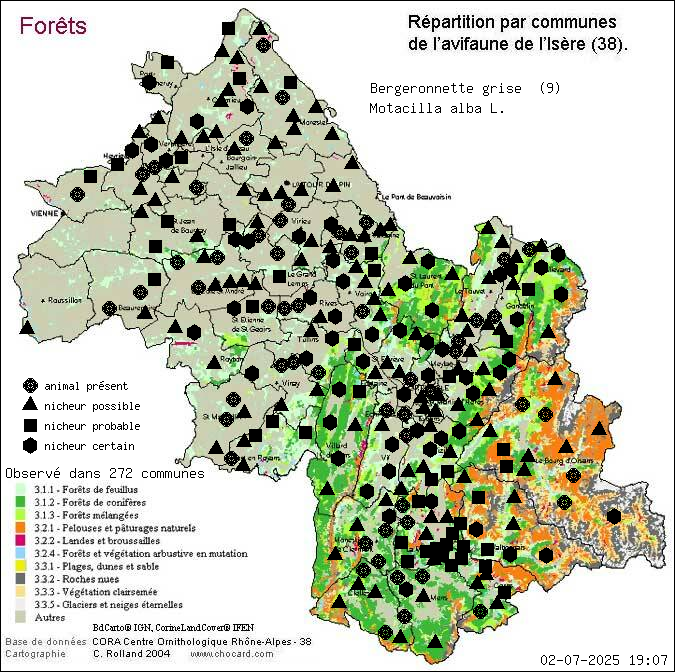 Carte de rpartition par communes en Isre d'une espce d'animal: Bergeronnette grise (Motacilla alba L.) selon Forts
