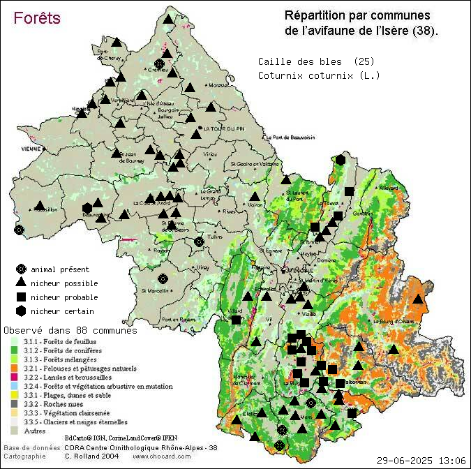 Caille des bls (Coturnix coturnix (L.)): carte de rpartition en Isre