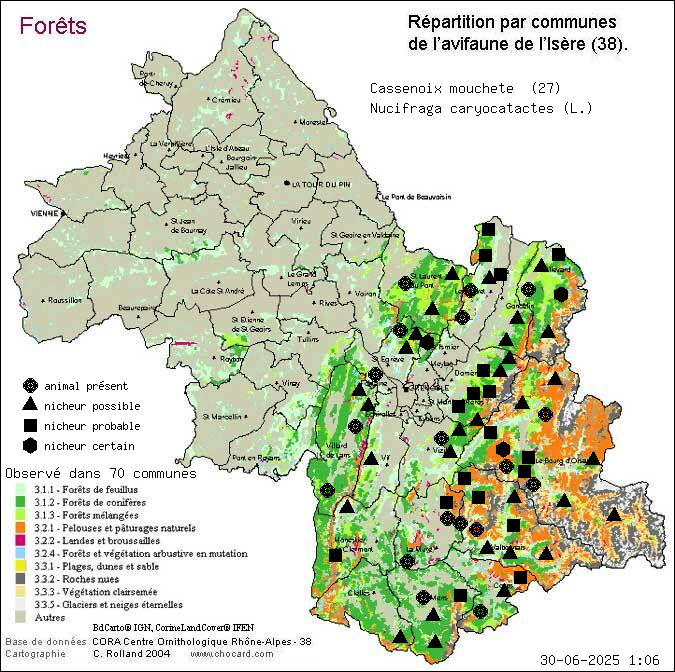 Cassenoix mouchet (Nucifraga caryocatactes (L.)): carte de rpartition en Isre