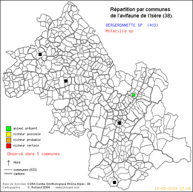 Carte de rpartition par communes en Isre d'une espce d'animal: BERGERONNETTE SP (Motacilla sp) selon Communes et cantons
