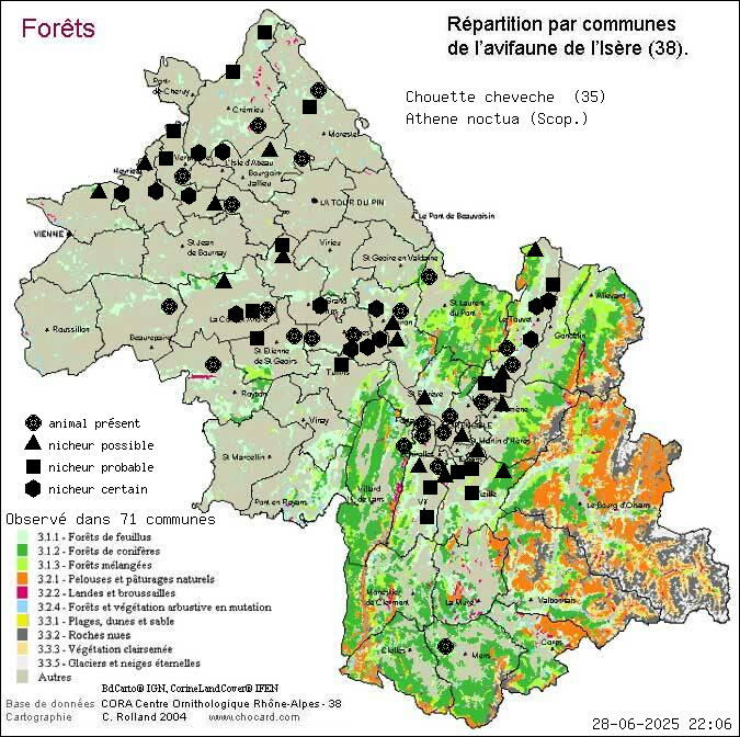 Chouette chevche (Athene noctua (Scop.)): carte de rpartition en Isre