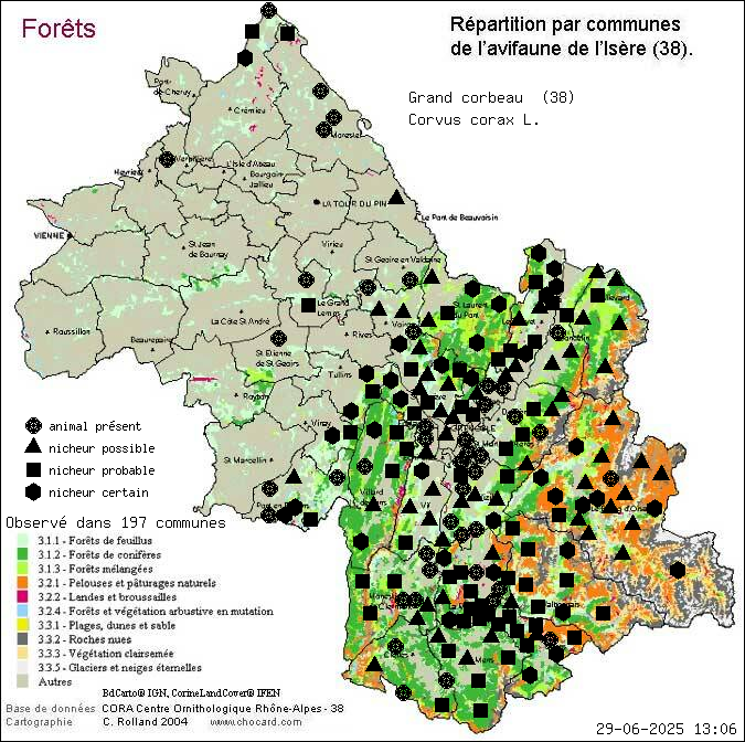 Grand corbeau (Corvus corax L.): carte de rpartition en Isre