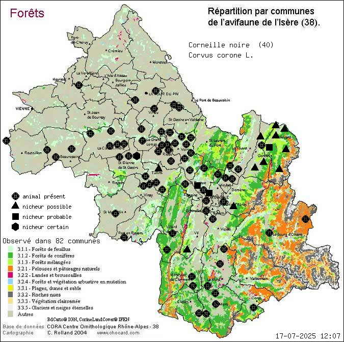 Corneille noire (Corvus corone L.): carte de rpartition en Isre