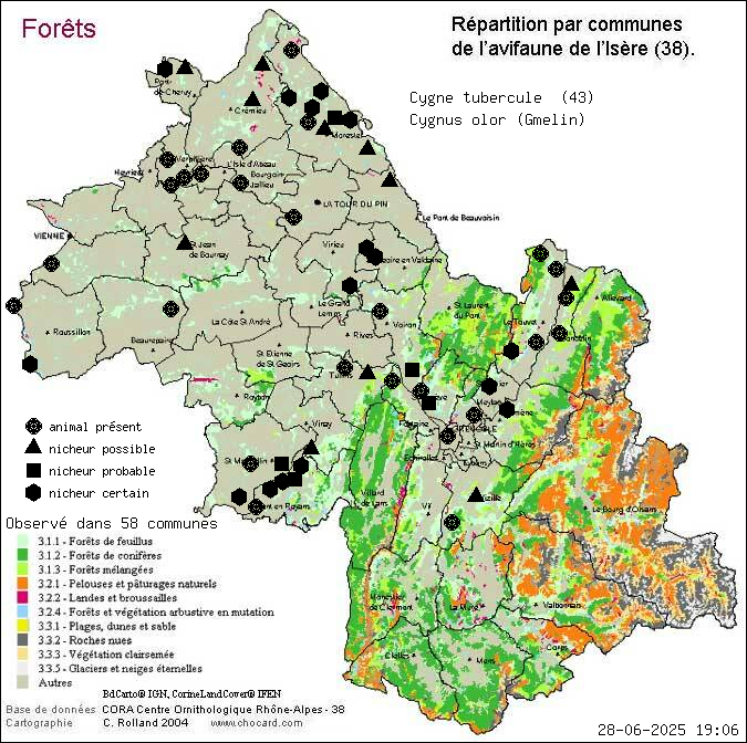 Cygne tubercul (Cygnus olor (Gmelin)): carte de rpartition en Isre