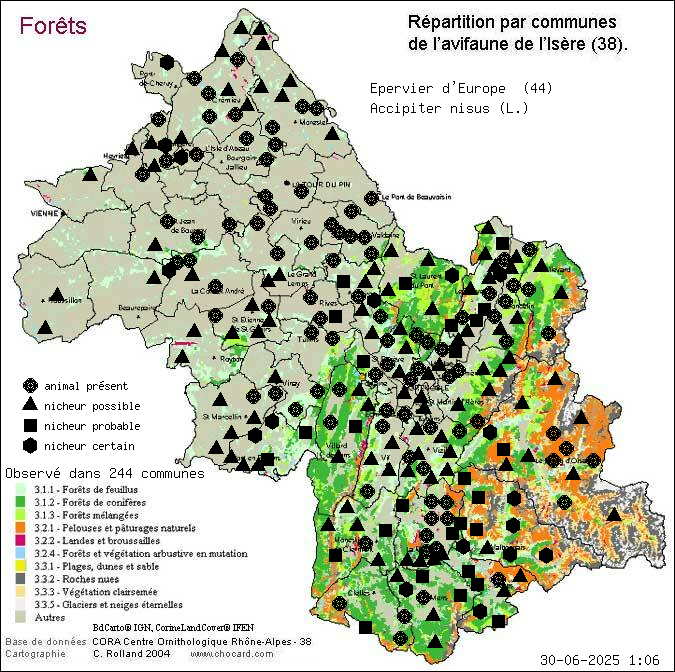 Epervier d Europe (Accipiter nisus (L.)): carte de rpartition en Isre