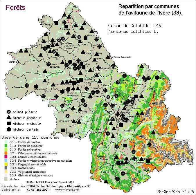 Faisan de Colchide (Phanianus colchicus L.): carte de rpartition en Isre