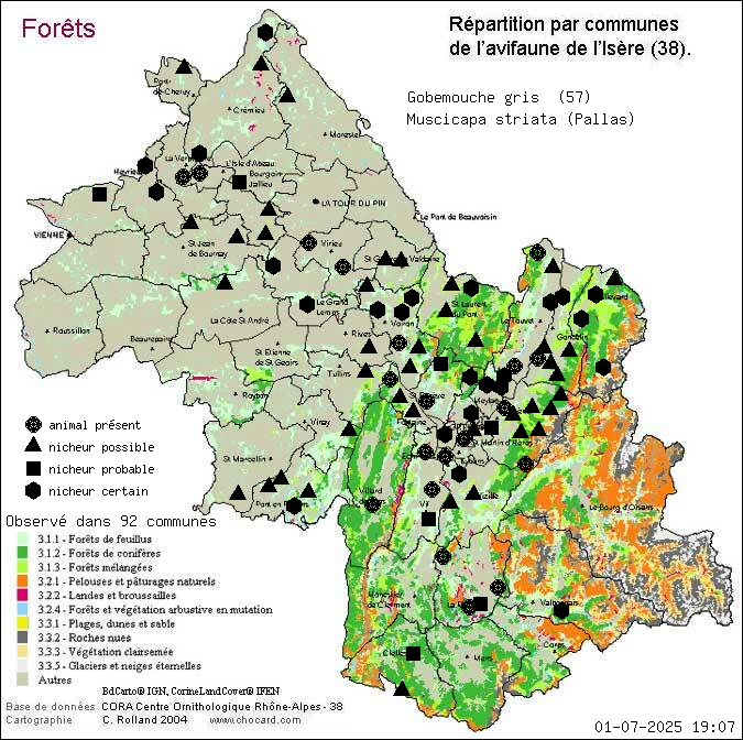 Gobemouche gris (Muscicapa striata (Pallas)): carte de rpartition en Isre