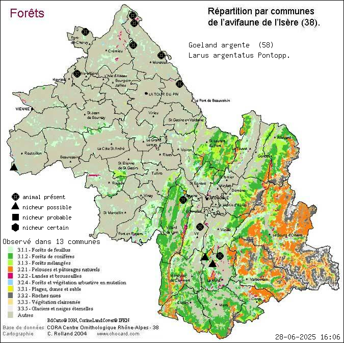 Goland argent (Larus argentatus Pontopp.): carte de rpartition en Isre