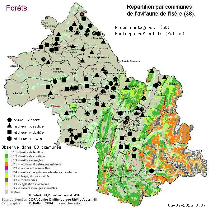 Grbe castagneux (Podiceps ruficollis (Pallas)): carte de rpartition en Isre