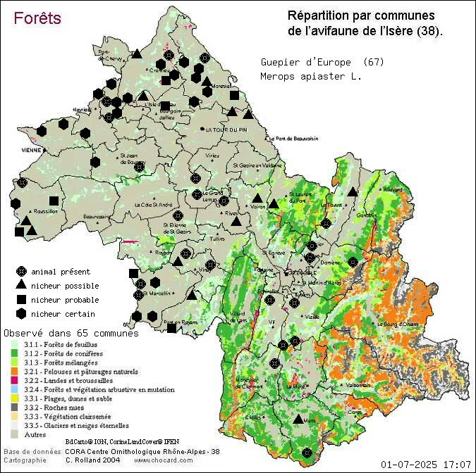 Carte de rpartition par communes en Isre d'une espce d'animal: Gupier d Europe (Merops apiaster L.) selon Forts