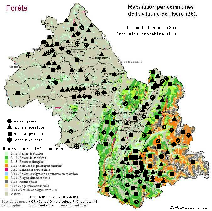 Linotte mlodieuse (Carduelis cannabina (L.)): carte de rpartition en Isre