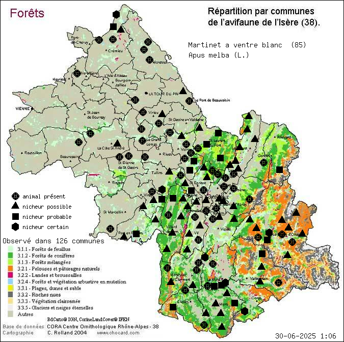 Martinet  ventre blanc (Apus melba (L.)): carte de rpartition en Isre